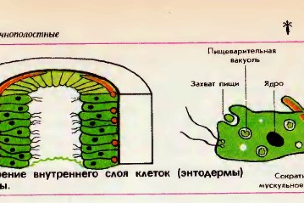 Кракен зеркало onion