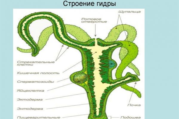 Кракен зеркало 2kraken biz