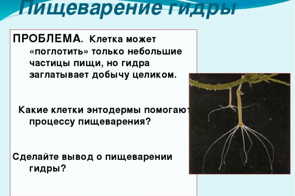 Кракен даркнет маркет ссылка на сайт тор